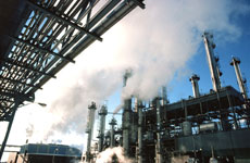 power plants and other industry installations are the main CO2 emitters