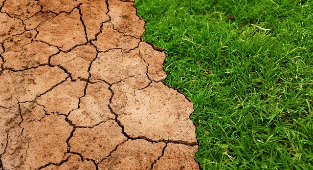 How climate change can affect soil conditions